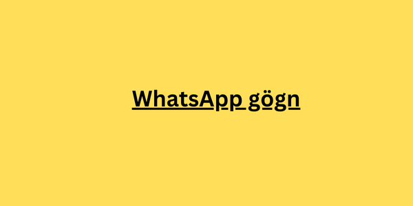 WhatsApp gögn